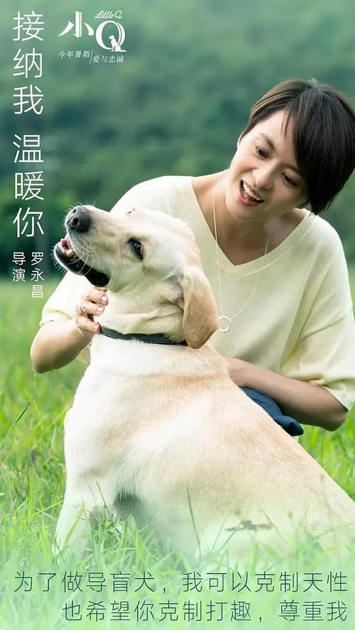中国农业银行支票哪里可以做假的